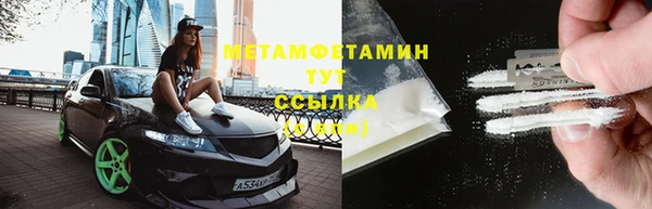 гидра Богородицк