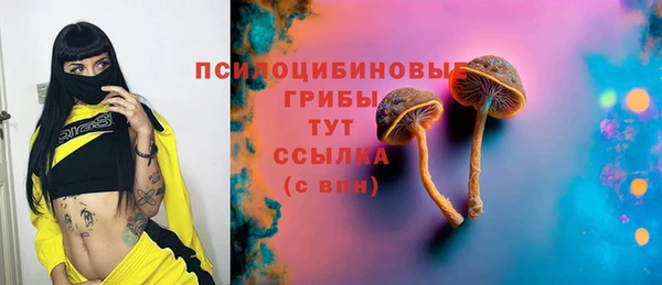 гидра Богородицк