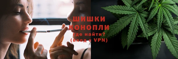 гидра Богородицк