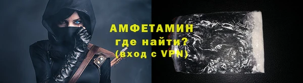гидра Богородицк