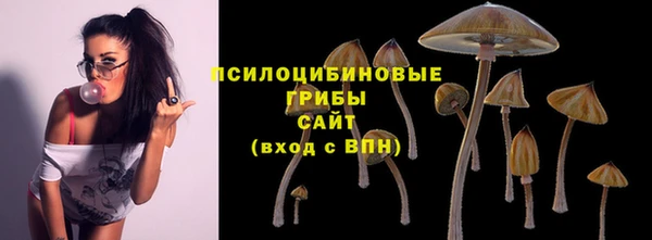 гидра Богородицк