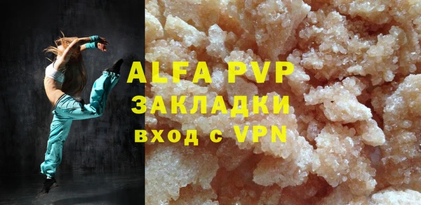 гидра Богородицк