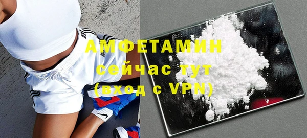 гидра Богородицк