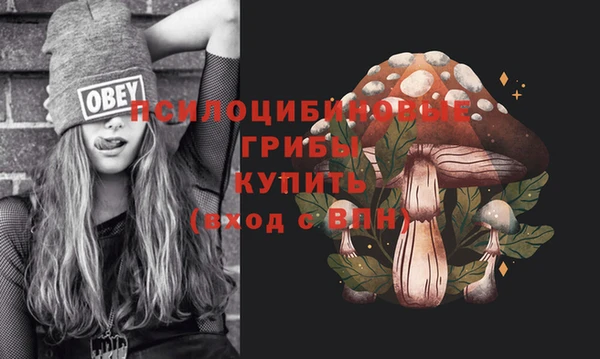 гидра Богородицк