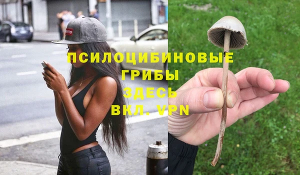 меф Богородск