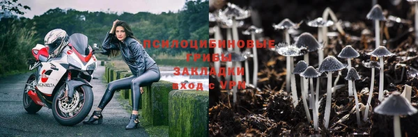 гидра Богородицк