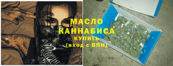 гидра Богородицк