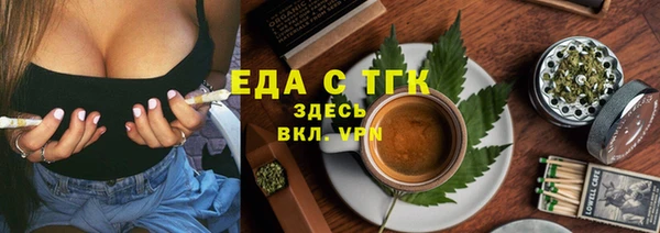 гидра Богородицк