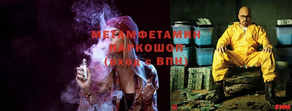 гидра Богородицк