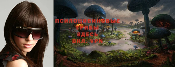 марки lsd Богданович