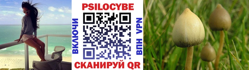 Галлюциногенные грибы прущие грибы  Кирс 